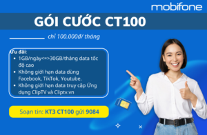 mobifonedata.com .vn M2 11